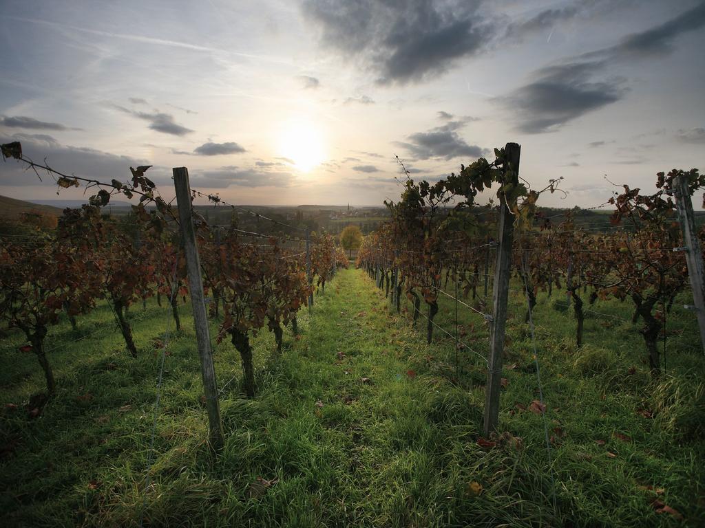 Worners Schloss Weingut & Wellness-Hotel Пріксенштадт Екстер'єр фото
