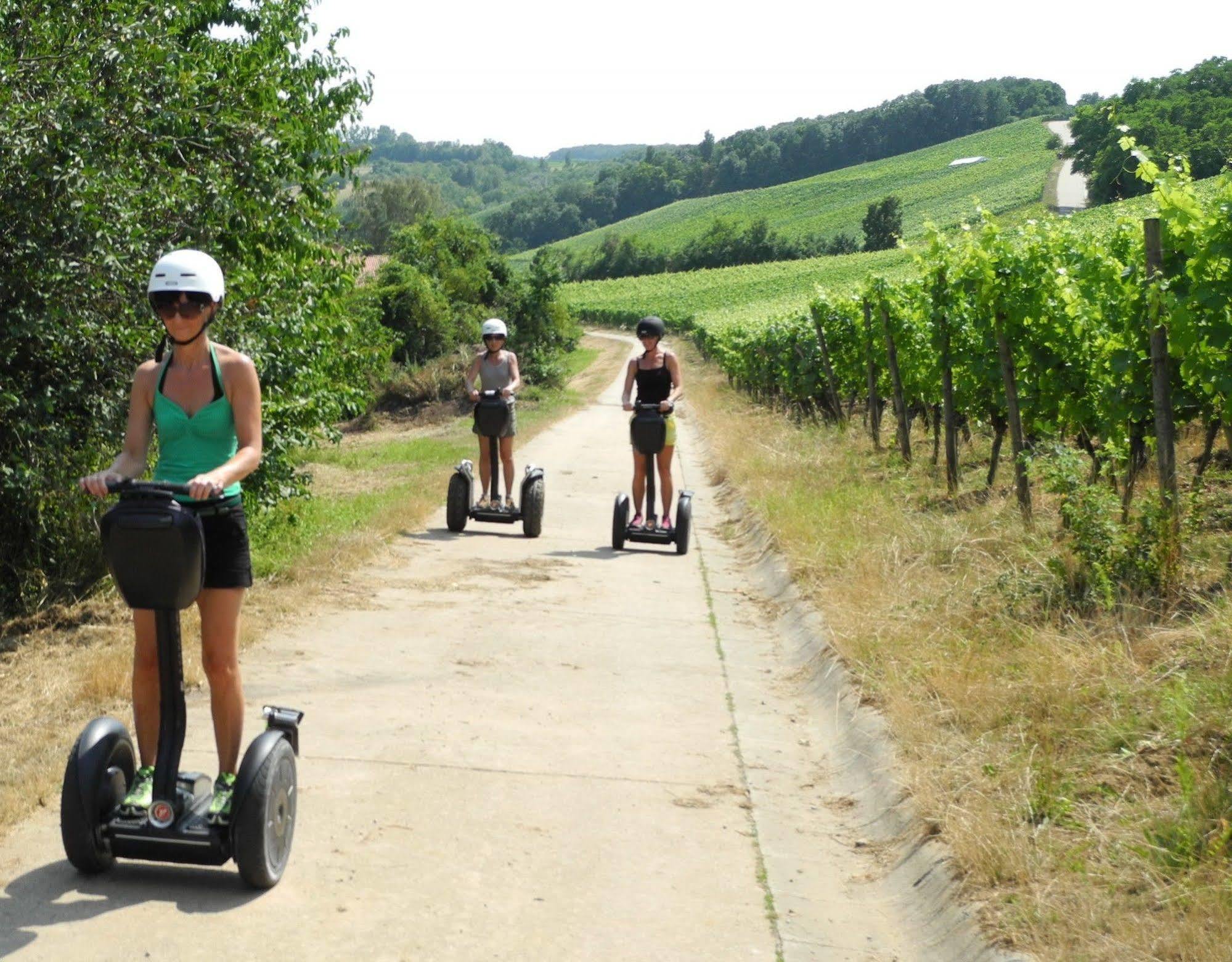 Worners Schloss Weingut & Wellness-Hotel Пріксенштадт Екстер'єр фото